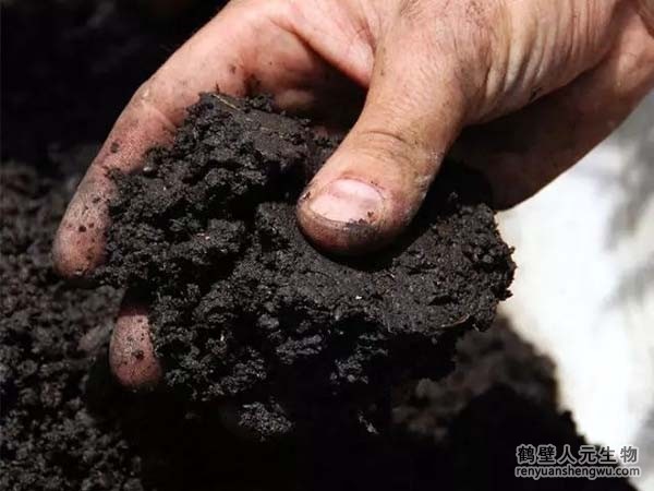 每畝地施用多少有機(jī)肥，土壤有機(jī)質(zhì)才能增加1%？