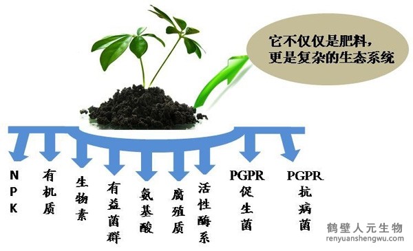 都說微生物菌劑產品貴，你卻不知道土壤微生物到底有多重要！