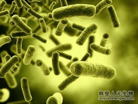 未腐熟的有機肥的副作用是什么？