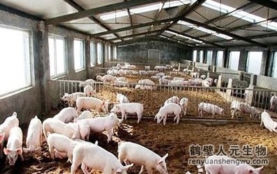 豬糞是如何發(fā)酵成有機肥料的？