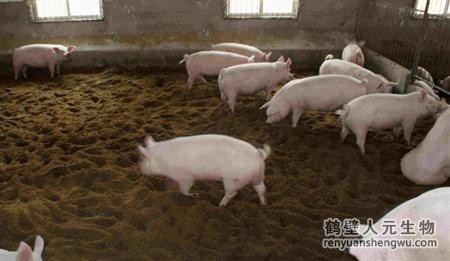 動物糞便的成分究竟是什么？