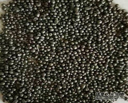 關(guān)于有機(jī)肥廠(chǎng)收益