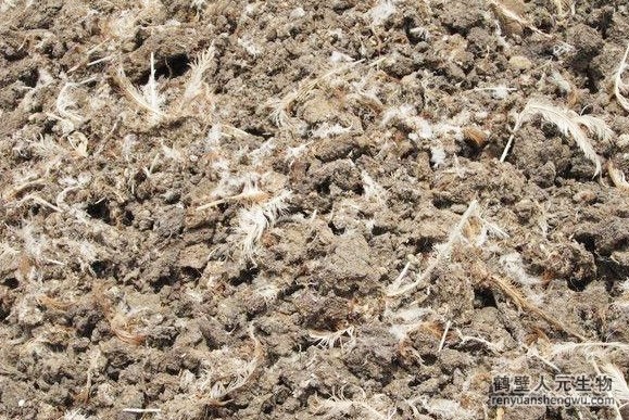 雞糞有機肥發(fā)酵過程