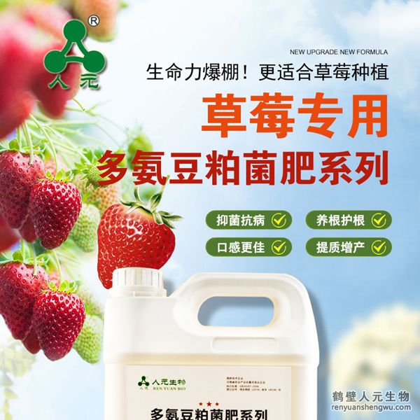 多氨豆粕菌肥系列草莓專用肥由河南省微生物菌劑工程技術(shù)研究中心研制，鶴壁市人元生物技術(shù)發(fā)展有限公司生產(chǎn)，本品是以固態(tài)發(fā)酵豆粕為主要原料，豆粕經(jīng)過有益微生物菌種發(fā)酵分解，充分釋放游離氨基酸，同時輔以枯草、地衣、膠凍樣芽孢桿菌等有益菌群。