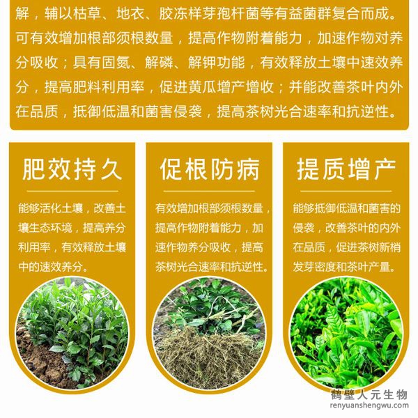 有效的抵御低溫和菌害的侵襲；同時(shí)，使用本品能在一定程度上降解或減少茶葉中的農(nóng)殘及重金屬含量，并能改善茶葉的內(nèi)外在品質(zhì)。使用本品種植的茶葉在氨基酸、茶多酚和咖啡因的含量上都有提高。
