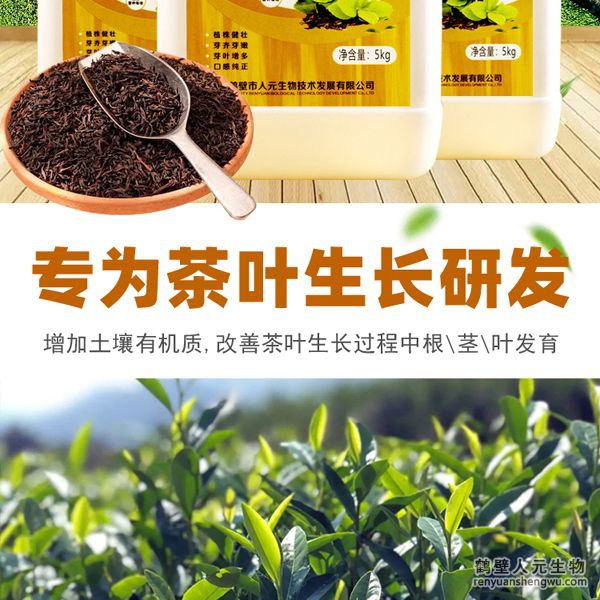 可增加根部須根數(shù)量，提高作物的附著能力；使作物主根粗壯、須根濃密，加速作物對(duì)養(yǎng)分的吸收；富含的有益菌具有固氮、解磷、解鉀功能，有效釋放土壤中的速效養(yǎng)分，提高肥料利用率，增加茶葉產(chǎn)量。