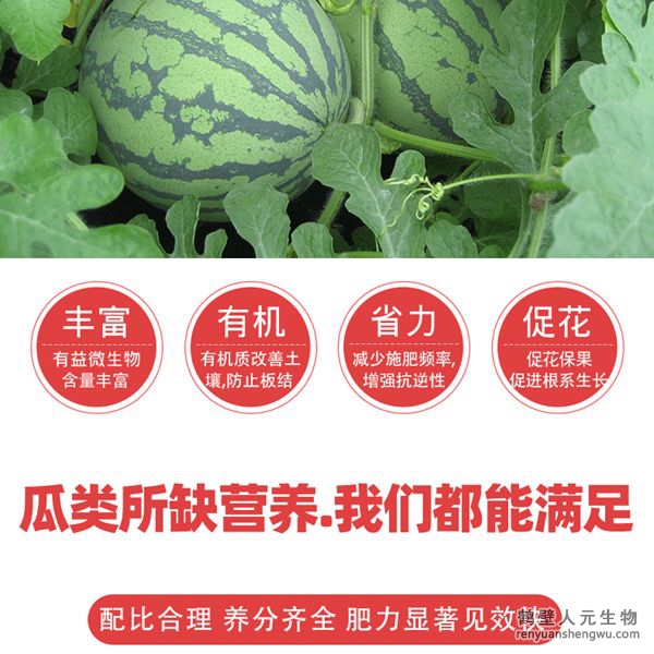 提高肥料利用率，增加瓜類產(chǎn)量，提高授粉率和坐瓜率，減少生理性落花落果，使幼瓜迅速增大；成熟果實(shí)個(gè)大均勻、果肉密實(shí)、色澤鮮艷、嬌嫩多汁、口感好、甜度高、提高品質(zhì)，增加產(chǎn)量，減少瓜類土傳病害發(fā)生蔓延。