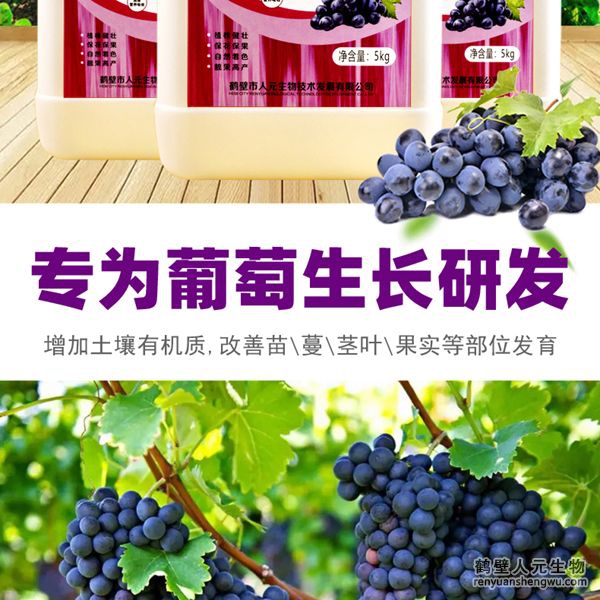 可有效增加根部須根數(shù)量，提高作物的附著能力；使作物主根粗壯、須根濃密，加速作物對養(yǎng)分的吸收；