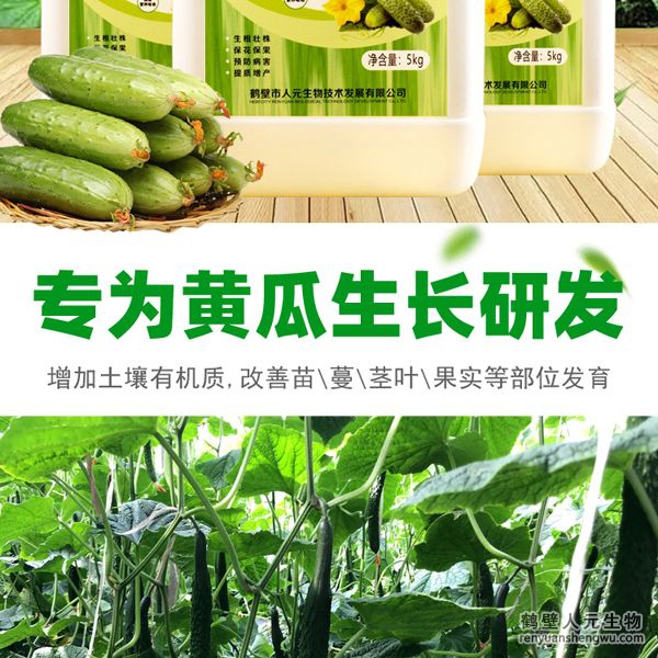 可有效增加根部須根數(shù)量，提高作物的附著能力；使作物主根粗壯、須根濃常，加速作物對(duì)養(yǎng)分的吸收；富含的有益菌具有面氮、解磷、解鉀功能，有效釋放土壤中的速效養(yǎng)分，