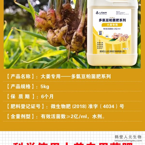 提高大姜膨產(chǎn)活力，姜多、姜大，姜面光滑，姜型健壯，提高品質(zhì)，對姜腐敗（姜瘟)有好的防治作用。并能提高改善大姜口感，使大姜辛辣清香味道純。使果面潔凈、色澤誘人、口感上佳，并能提早果實上市時間。