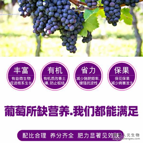 富含的有益菌具有固氮、解磷、解鉀功能，有效釋放土壤中的速效養(yǎng)分，提高肥料利用率，增加葡萄產(chǎn)量，提高葡萄抗逆能力，減少霜霉病、白粉病、炭疽病的發(fā)生。