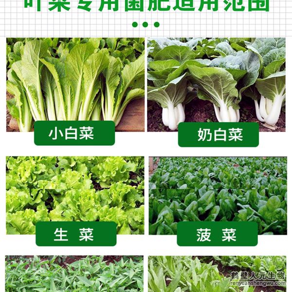 多氨豆粕菌肥系列葉菜類(lèi)專(zhuān)用肥適用范圍：適用于生菜、雍菜、油菜、茼蒿、芹菜、菠菜、木耳菜、油麥菜、韭菜、娃娃菜、空心菜、菜心、莧菜等葉菜類(lèi)作物。