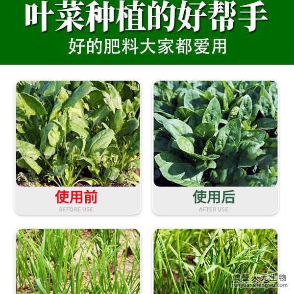 多氨豆粕菌肥系列葉菜類(lèi)專(zhuān)用肥使用效果圖1