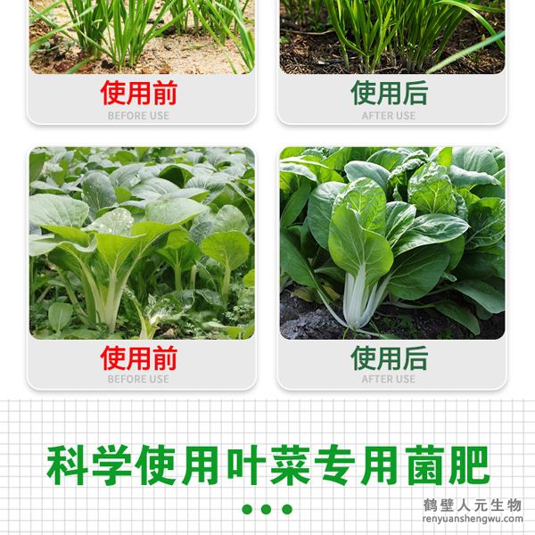 多氨豆粕菌肥系列葉菜類(lèi)專(zhuān)用肥使用效果圖2