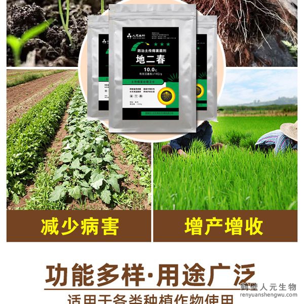 【地二春】土傳病害防治菌劑根據(jù)土壤生態(tài)環(huán)境及土傳病害機(jī)理，以枯草、地衣芽孢桿菌、哈茨木霉菌、放線菌、白僵菌、綠僵菌及淡紫擬青霉等菌群為主，經(jīng)特殊培養(yǎng)精心研制而成的新一代抗土傳病害復(fù)合微生物菌劑。能快速有效抑制土壤中的真菌、細(xì)菌、病毒等病菌，具有廣譜高效、安全長效，無殘留等特點(diǎn)。特別加入中微量元素、核苷酸、整合植物蛋白，生根因子，抗病抗逆因子，促進(jìn)作物增產(chǎn)增收。