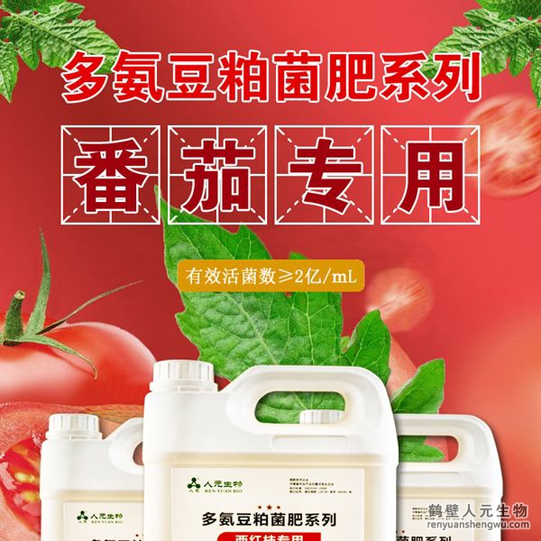 多氨豆粕菌肥系列西紅柿專用肥由河南省微生物菌劑工程技術研究中心研制，鶴壁市人元生物技術發(fā)展有限公司生產(chǎn)，本品是以固態(tài)發(fā)酵豆粕為主要原料，豆粕經(jīng)過有益微生物菌種發(fā)酵分解，充分釋放游離氨基酸，同時輔以枯草、地衣、膠凍樣芽孢桿菌等有益菌群。