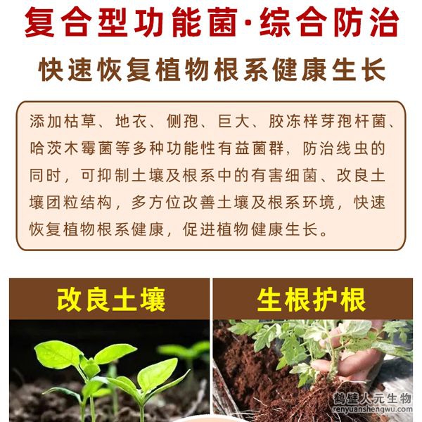 具有固氮、解磷、解鉀功能，轉(zhuǎn)化土壤中作物不能直接利用的氮、磷、鉀元素供作物吸收，同時(shí)可分泌大量的植物生長(zhǎng)調(diào)節(jié)物質(zhì)。連續(xù)兩年應(yīng)用后，通過(guò)調(diào)查對(duì)比，產(chǎn)品在加深耕層、提高作物產(chǎn)量、緩解重茬障得方面效果明顯。