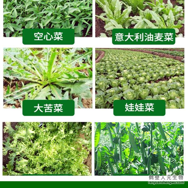 多氨豆粕菌肥系列葉菜類(lèi)專(zhuān)用肥適用范圍2