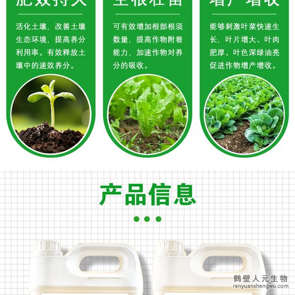 施用后各種營(yíng)養(yǎng)物質(zhì)能夠被葉菜迅速吸收并在體內(nèi)自由傳導(dǎo)，能夠刺激葉菜生長(zhǎng)細(xì)胞組織的快速分裂與增長(zhǎng)，使葉菜快速生長(zhǎng)，強(qiáng)化葉菜體內(nèi)新陳代謝，加速蛋白質(zhì)合成，促進(jìn)葉綠素的形成，增強(qiáng)光合作用，