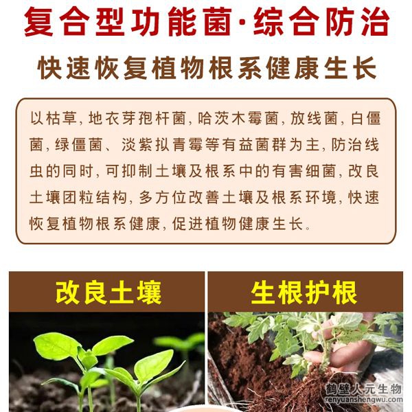 通過營養(yǎng)競爭、重寄生、細(xì)胞壁分解酵素、以及誘導(dǎo)植物產(chǎn)生抗性等多重機(jī)制，通過分泌胞外酶溶解細(xì)胞壁，穿透寄主菌絲，吸取營養(yǎng)，進(jìn)而將病原菌殺死，具有保護(hù)雙重功效。有效防止土傳病害真菌、細(xì)茵、病毒等病菌，具有廣譜高效、安全長效，無殘留等特點(diǎn)。特別加入中微量元素、核苷酸、整合植物蛋白，生根因子，抗病抗逆因子，可提高作物產(chǎn)量，增產(chǎn)15-20%，蔬菜瓜果增產(chǎn)30%。