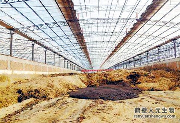 牛糞怎么發(fā)酵，堆放多久可以做肥料