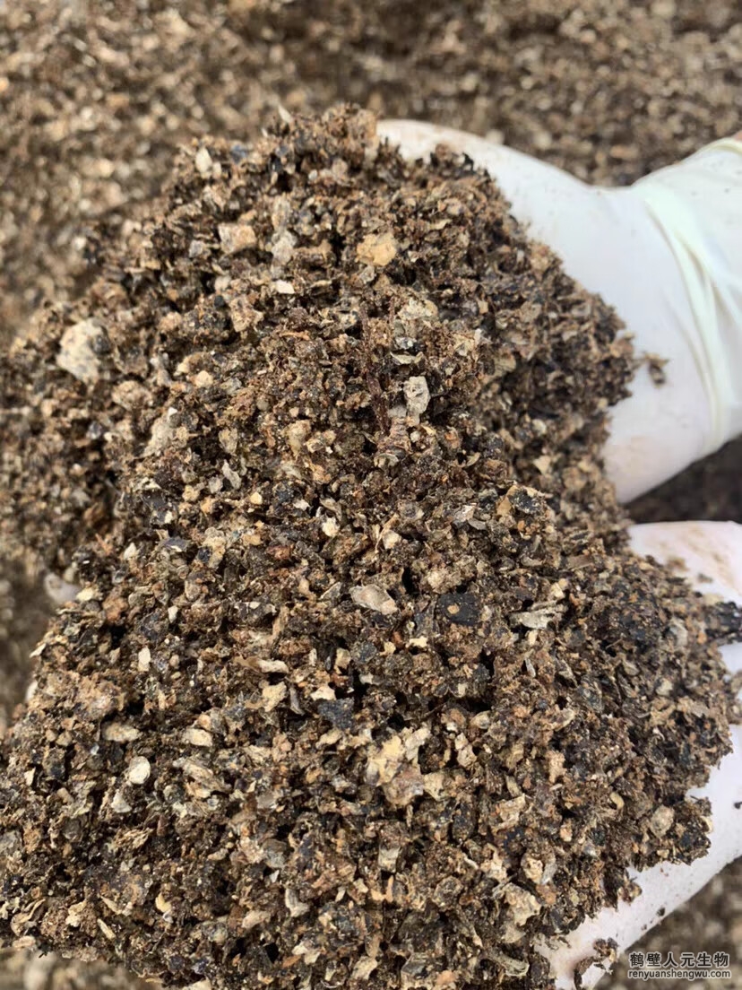 蘑菇渣的營(yíng)養(yǎng)成份真的一樣嗎？